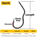 Size10