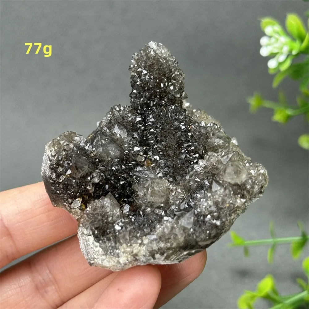 Natural Rare Black Cactus Quartz Mineral Specimen Crystal Cluster Aura Meditation Energy Collection Home Room Decoration Healing