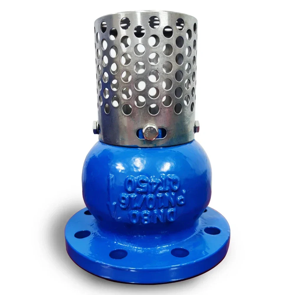Hot SalesFoot Type Check Valve Ductile Iron Strainer With Flange End