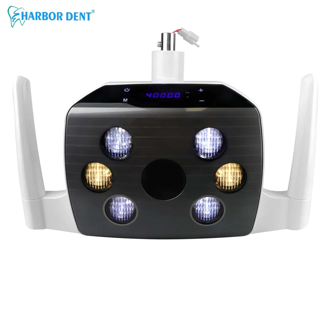 6LED Bulbs Dental O… - image