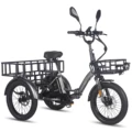 Gunmetal Black 21AH