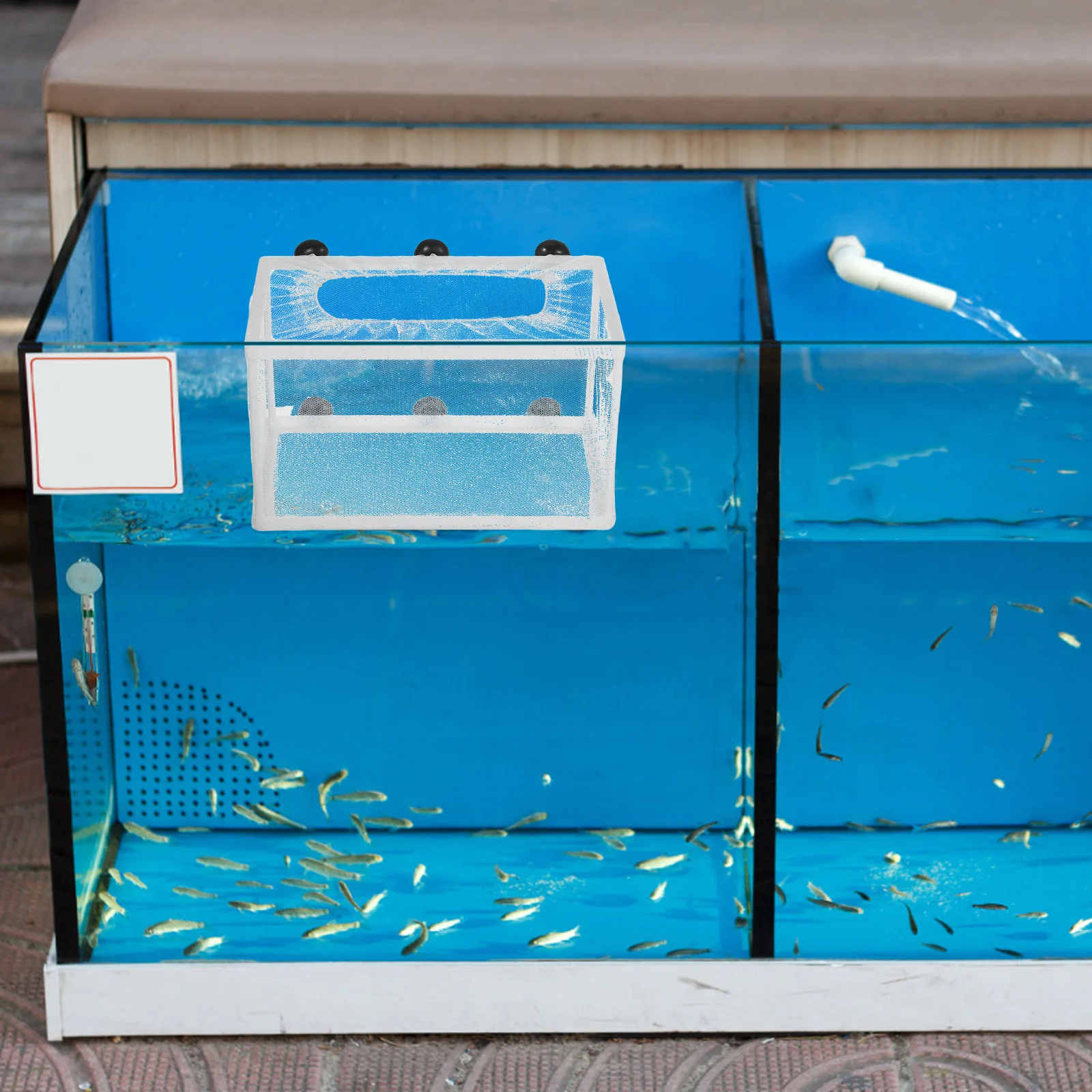 

Fish Breeder Net Large Aquarium Separator for Aggressive and Injured Fish Protection Hatchery Box with Suction Cups Polyester
