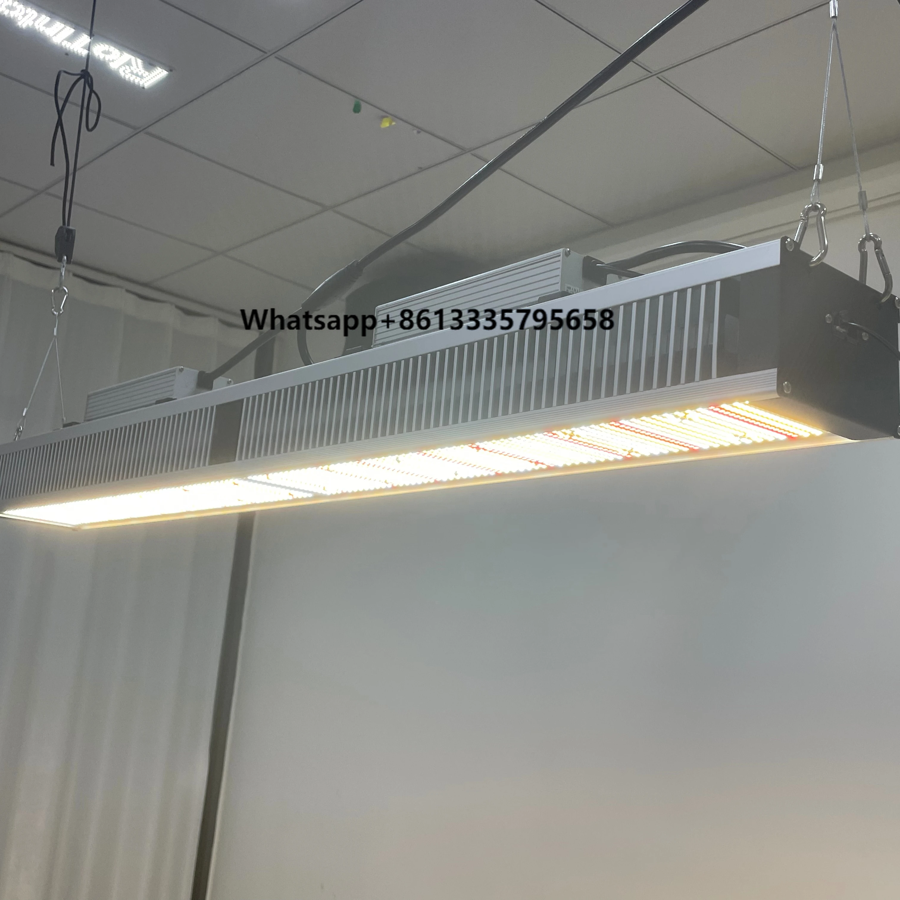 

Full Spectrum Real Power 640W Greenhouse Led Grow Lights for Indoor Growth Economical Solution
