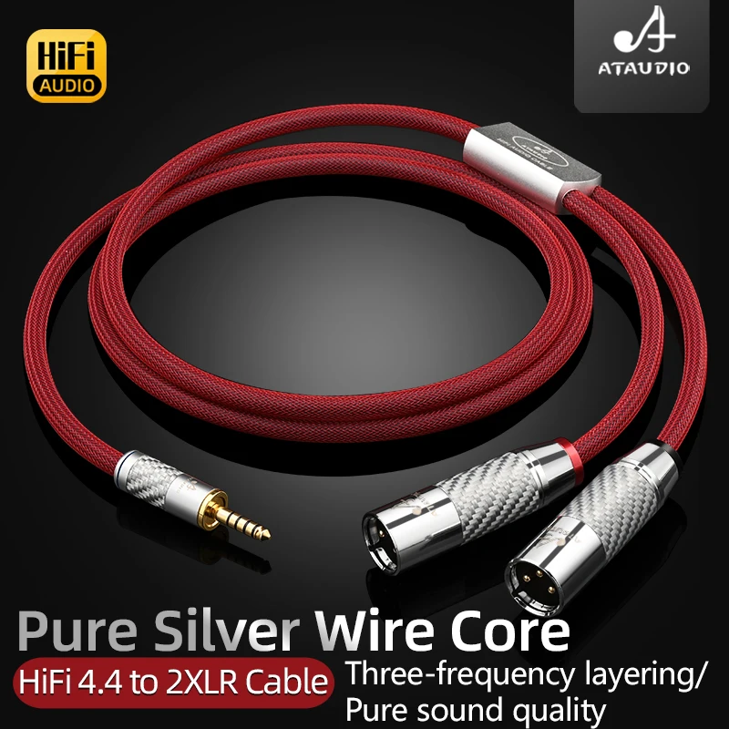 Ataudio 6N Pure Sil… - image