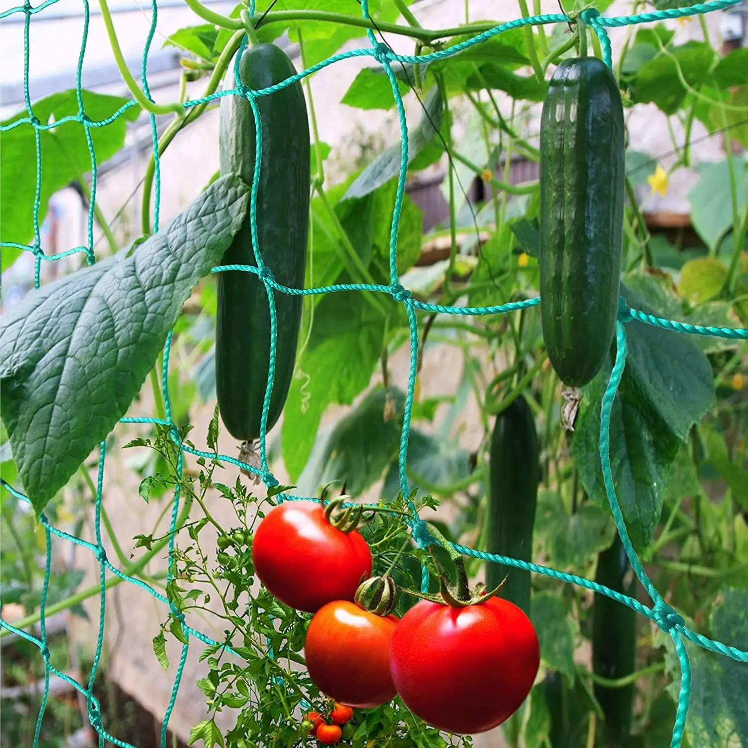 Thick Nylon Plant Trellis Strong Garden Climbing Netting Heavy Duty Mesh Net for Cucumber Tomato Grape Garden Accessories