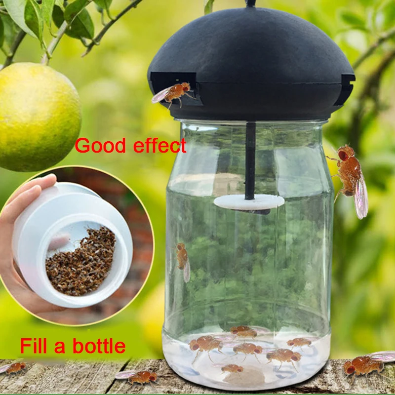 10pc Fruit Fly Attractant Trap Bait Beekeeping Beehive Tool Repellent Supplies