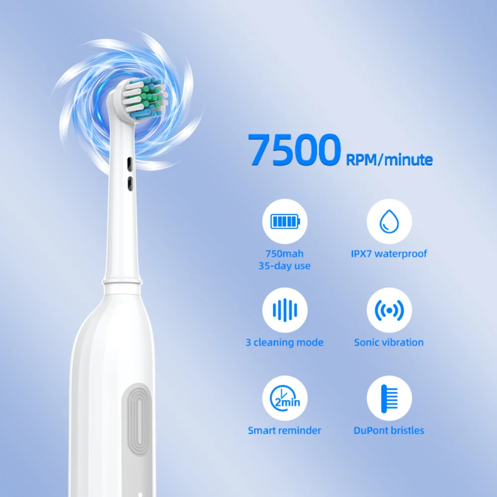 BX11 Rotating Electric Toothbrush Plaque Removal 3 Cleaning Modes Smart Timer USB Rechargeable Waterproof Travel Home Oral Care