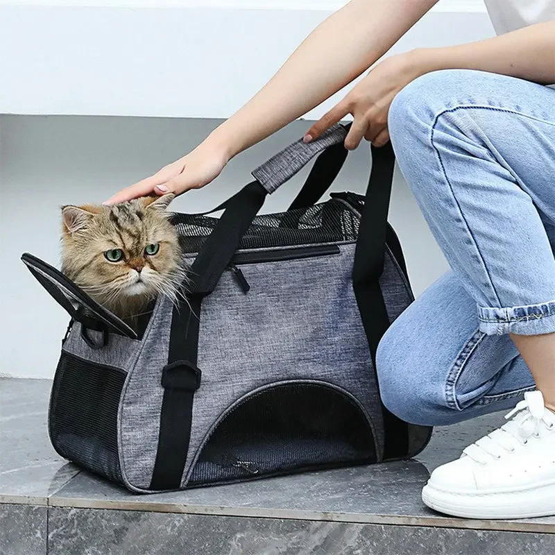 

New cat foldable outdoor portable messenger breathable cat going out portable car pet cross-border