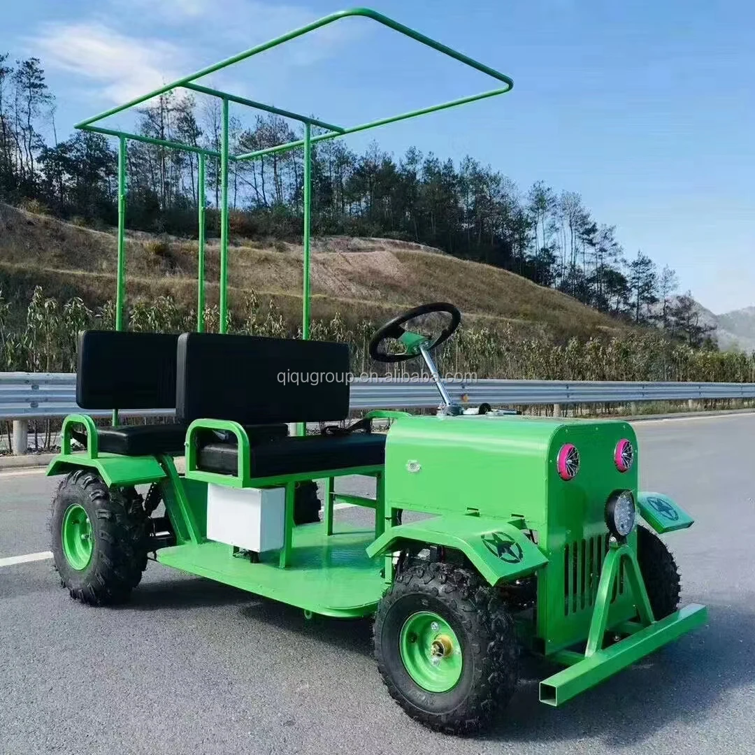 

Factory Direct Sale Popular Entertainment Car Frame Adult Electric Go Cart