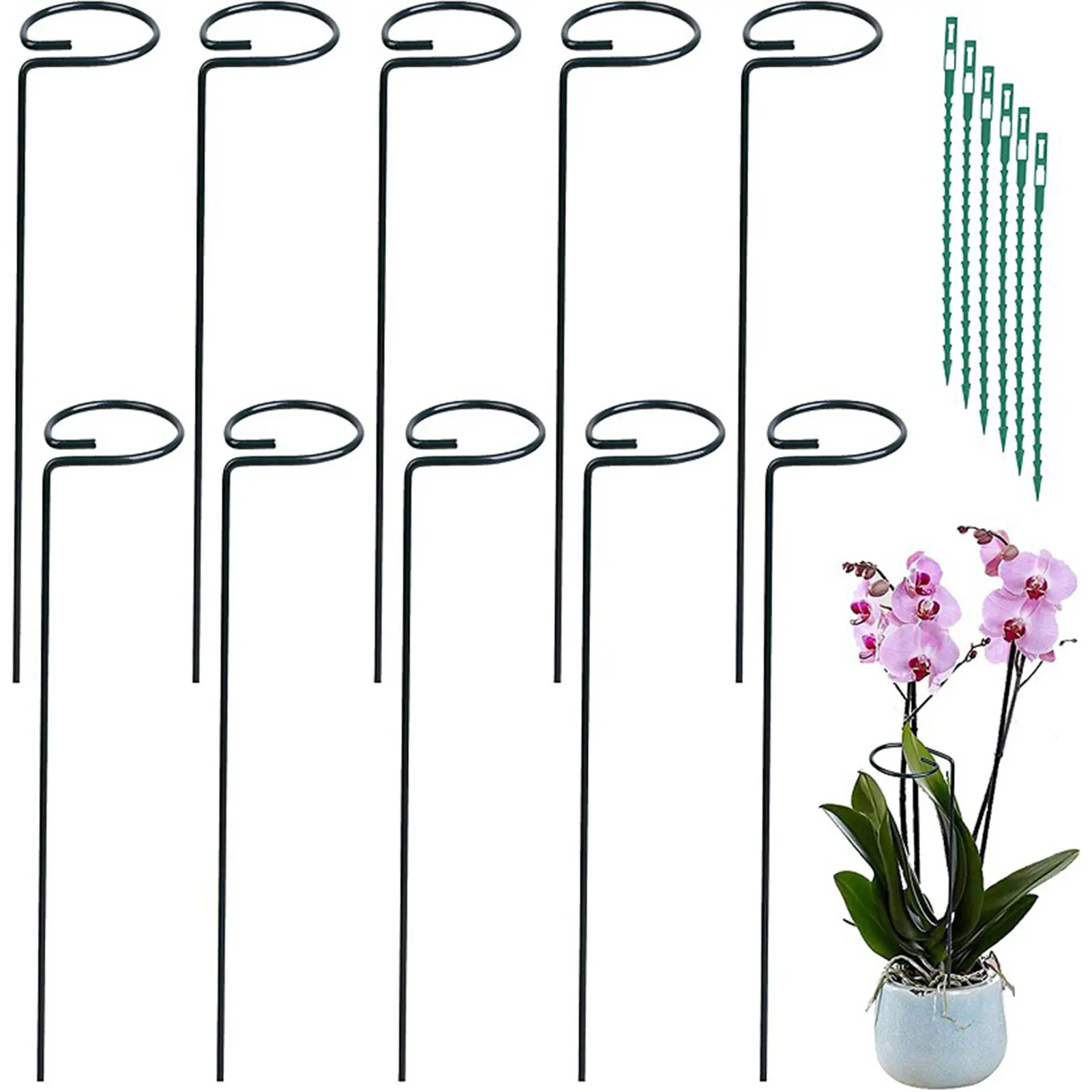 

5/10Pcs Metal Plant Single Stem Flower Support Stake Plant Cage Support Rings For Tomato Orchid Lily Peony Rose Flower Stem