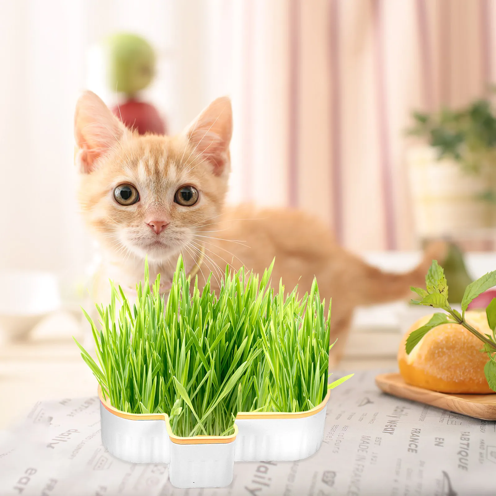 

Набор из 3-х контейнеров для выращивания кошачьей травы без почвы, премиум-класса, пластиковые, двухслойные, с разборной конструкцией, для использования в помещении, на улице, дома, на балконе, для садоводства