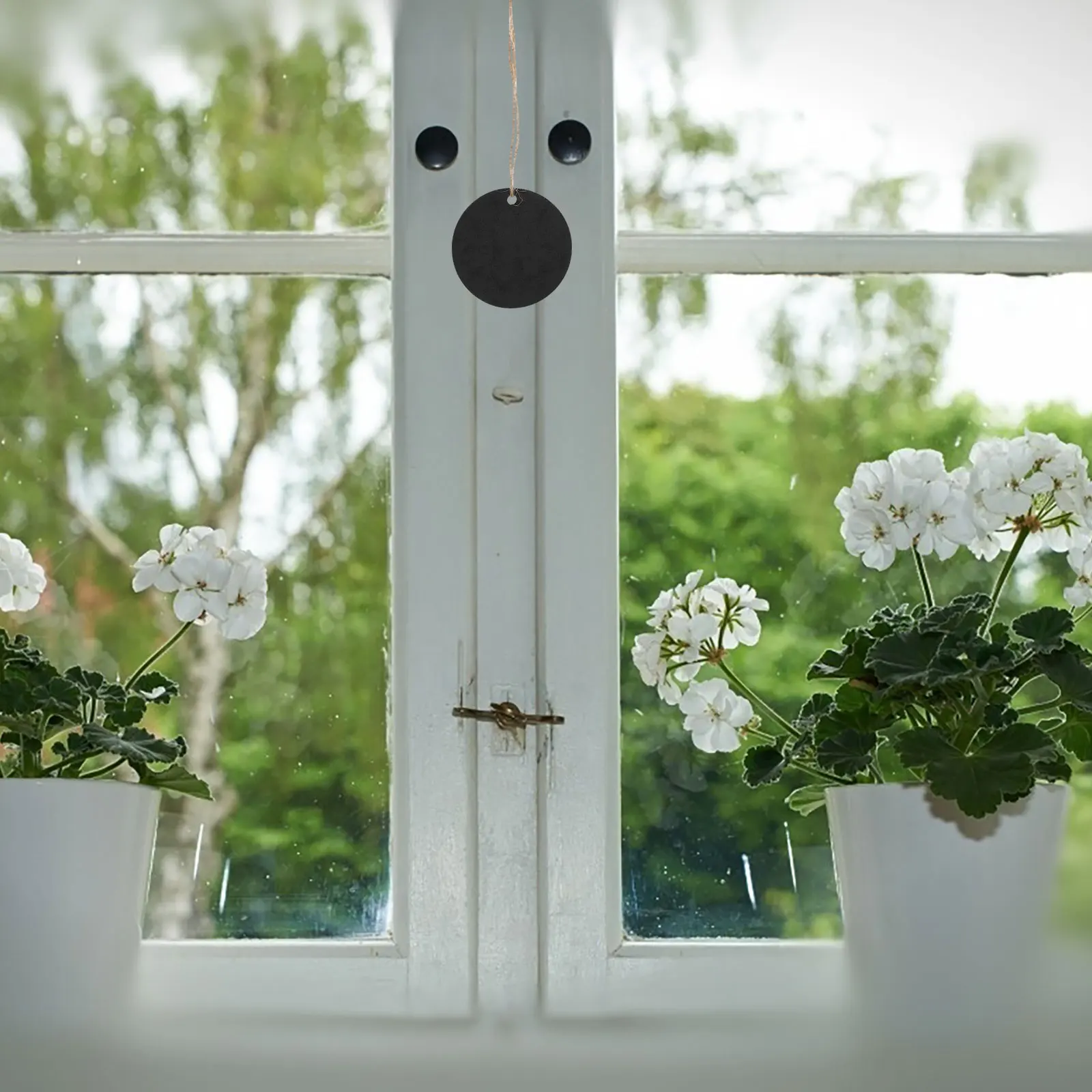 Рисунок 5 - Веревка, маленькая подвеска для доски