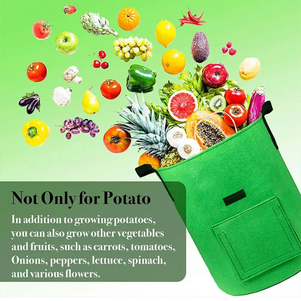 

Sturdy Handle Plant Grow Bag Fabric Grow Bag Set of 4 Capacity Colorful Potato Grow Bags with for Growing for Gardeners