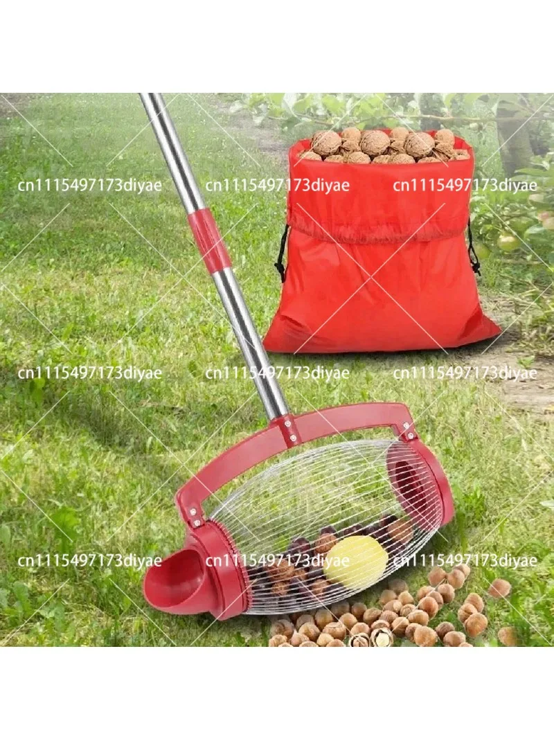 Stainless Steel Pecan Picker Nut Gatherer with Adjustable Long Handle, Ergonomic Labor Saving Lightweight Tool for Garden Use