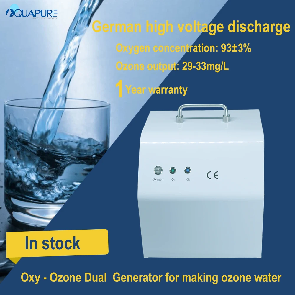 O3 Generator Machine Ozone Equipment with oxygen machine dual machine for making ozone water