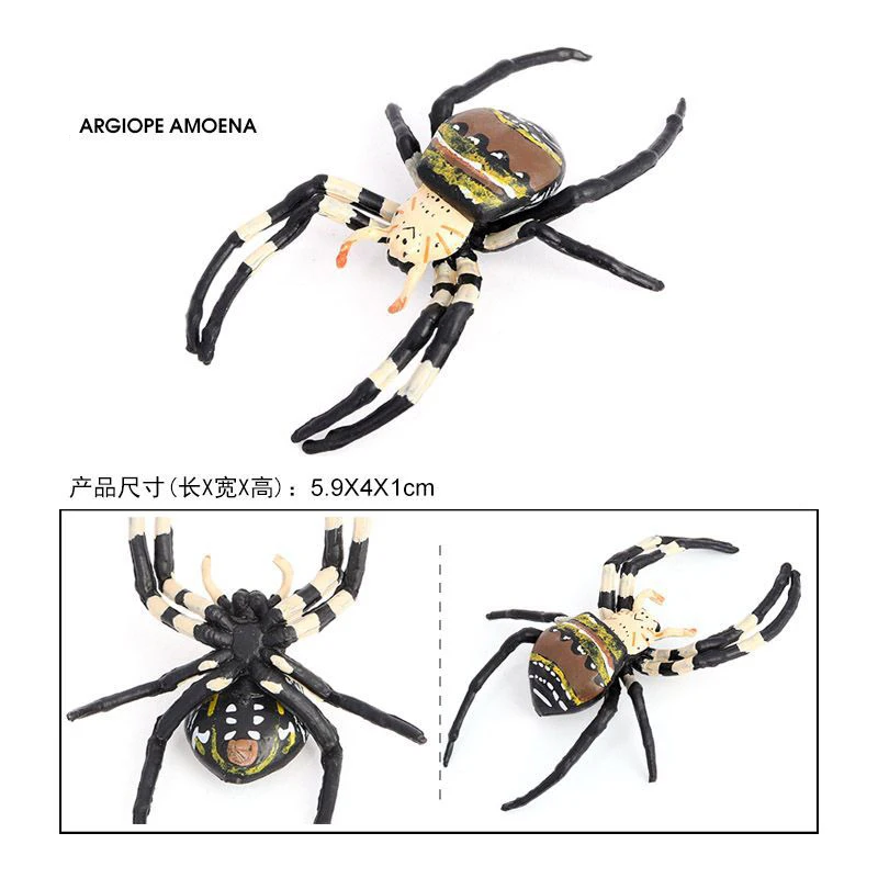 Modelo de Animal de simulación de insectos para niños, araña dorada, juguetes de broma de Halloween, Juguetes Educativos de ciencia cognitiva, regalos para niños