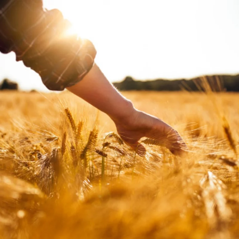 

Запасная часть для радиоуправляемых краулеров 1/10: 1,9-дюймовый металлический колесный диск с бедлоком для TRX4, Axial SCX10, AXI03006, Gladiator, Ruitai GRT 86181