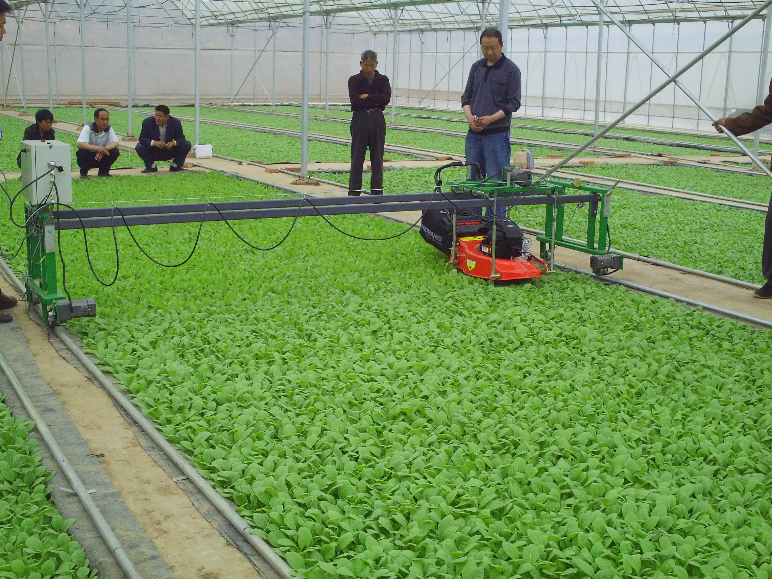 تخصيص الدفيئة نظام الحرارة والتظليل جيد الفراولة فيلم قوس الدفيئة متعددة المدى الزراعة بولي نفق الدفيئة fo