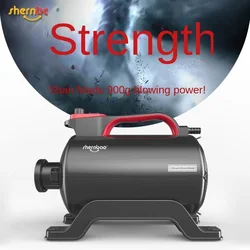 Pet Cat Dog Teddy Golden Hair Home Blower High Power Large Dog Hair Pulling Machine Bath Beauty Hair Dryer Small Animal Supplies