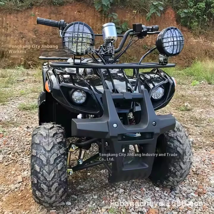 

110cc Automatic ATV Quad Bike Off-Road Beach Motorcycle with All-Terrain Mountain Bike by Chain Drive
