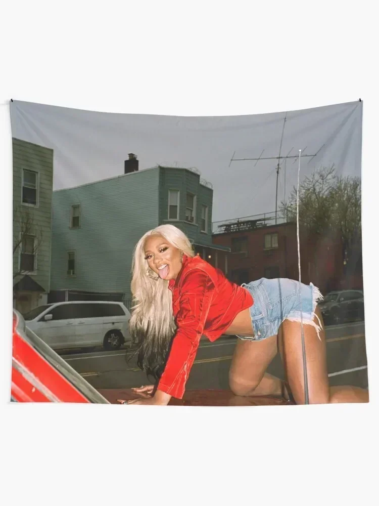 Megan Thee Stallion In A Car Tapestry Room Design Bedroom Decor Wall Decorations Tapestry