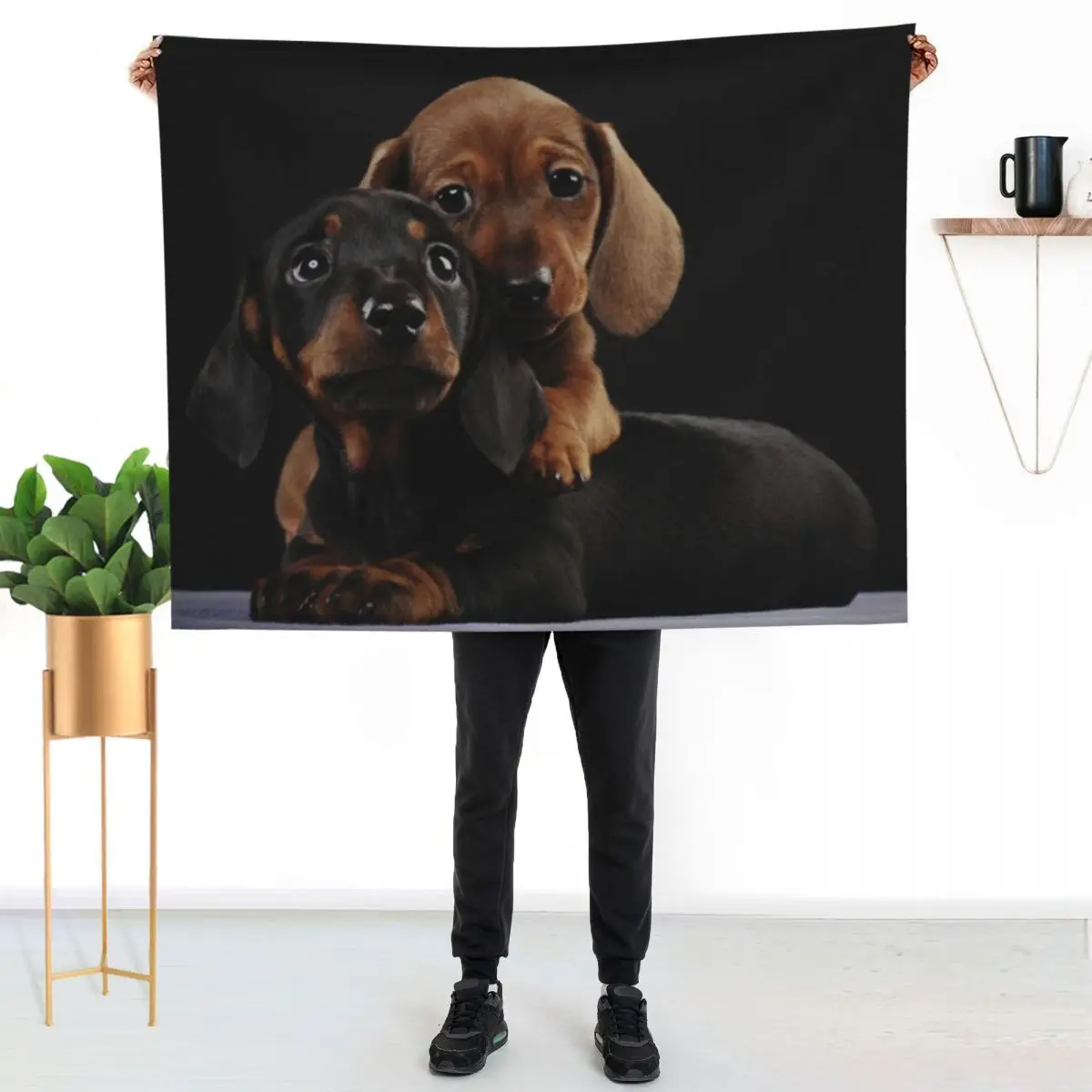 Dachshund Dog portrait photo pupies Throw Blanket Cozy Home Blanket Gift for Christmas Holiday