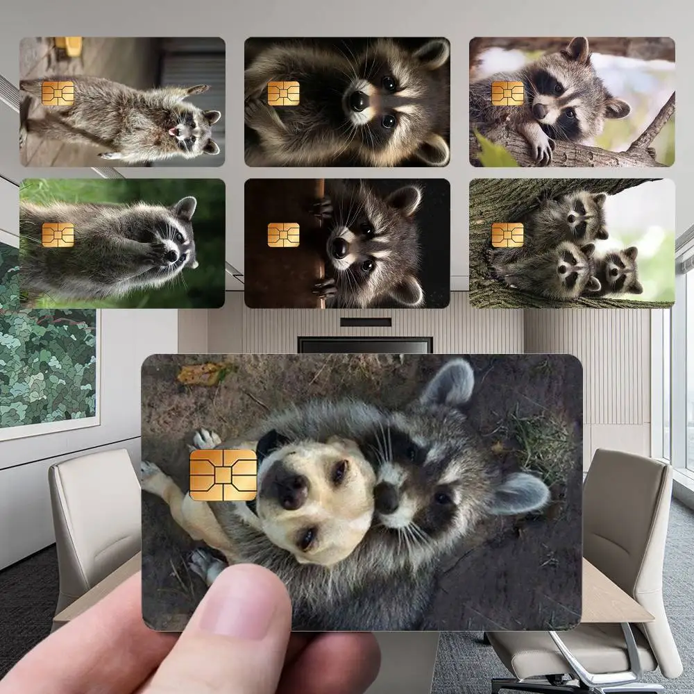 

Cute R-Raccoon Card Stickers New Cartoon Card Debit Bank Charge Card Bus Metro Waterproof Sticker Decal Decoration