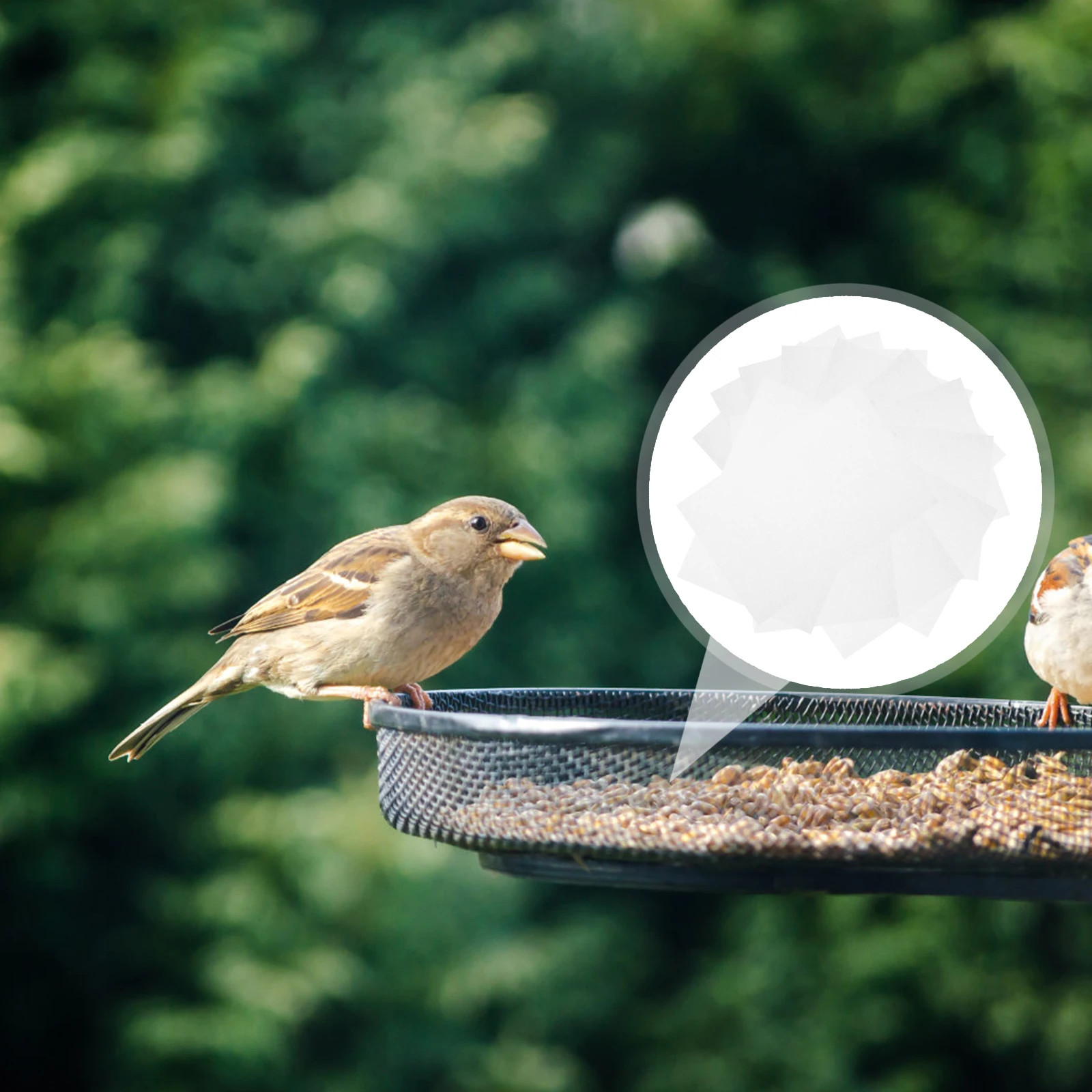 

100 Pcs Bird Cage Accessories Water Absorption Tray Liner Paper Pet Birdcage Absorbent
