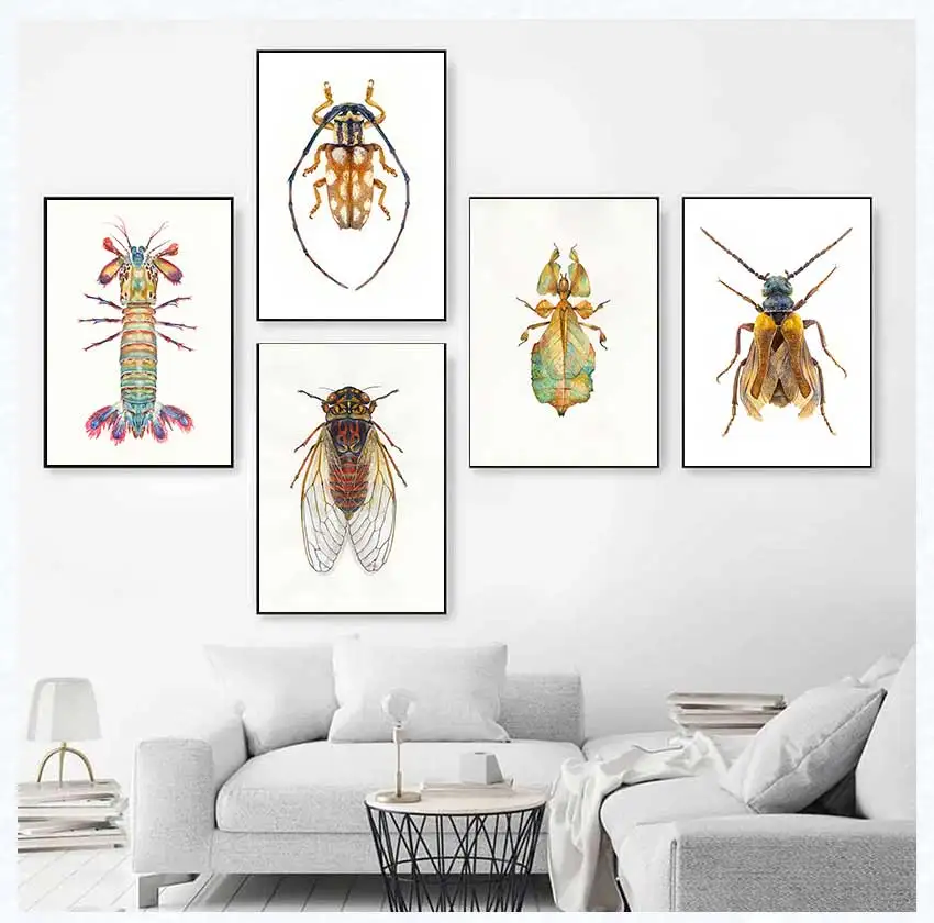 Insect Beetle Collection Retro Poster Spider Fly Canvas Painting and Prints Wall Art Picture for Living Room Home Decoration