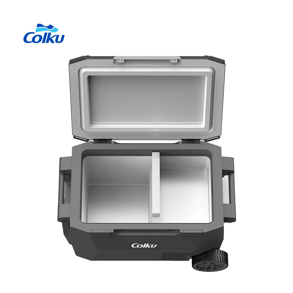 

42L Mini Car Refrigerator 12V Freezer Portable Fridge Smart Cooling for Camping Rv Truck