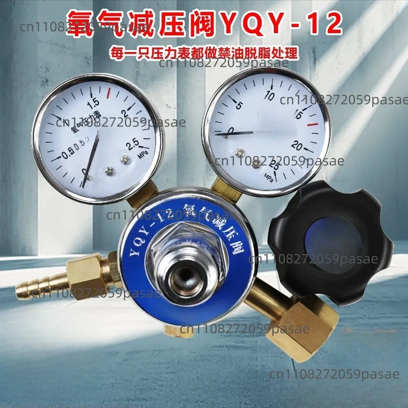 

220V Single-Phase TDGC2-500W Autotransformer, 5kW Household Foam Cutter Voltage Regulator, 0V–250V