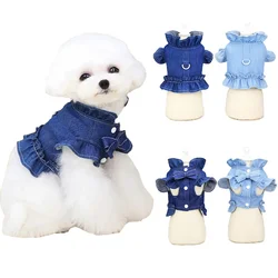 Yaz köpek koşum giysileri yavru kedi için kot yelek küçük orta Doggy Jean etek Chihuahua Teddy yordresses elbiseler Pet kostümleri