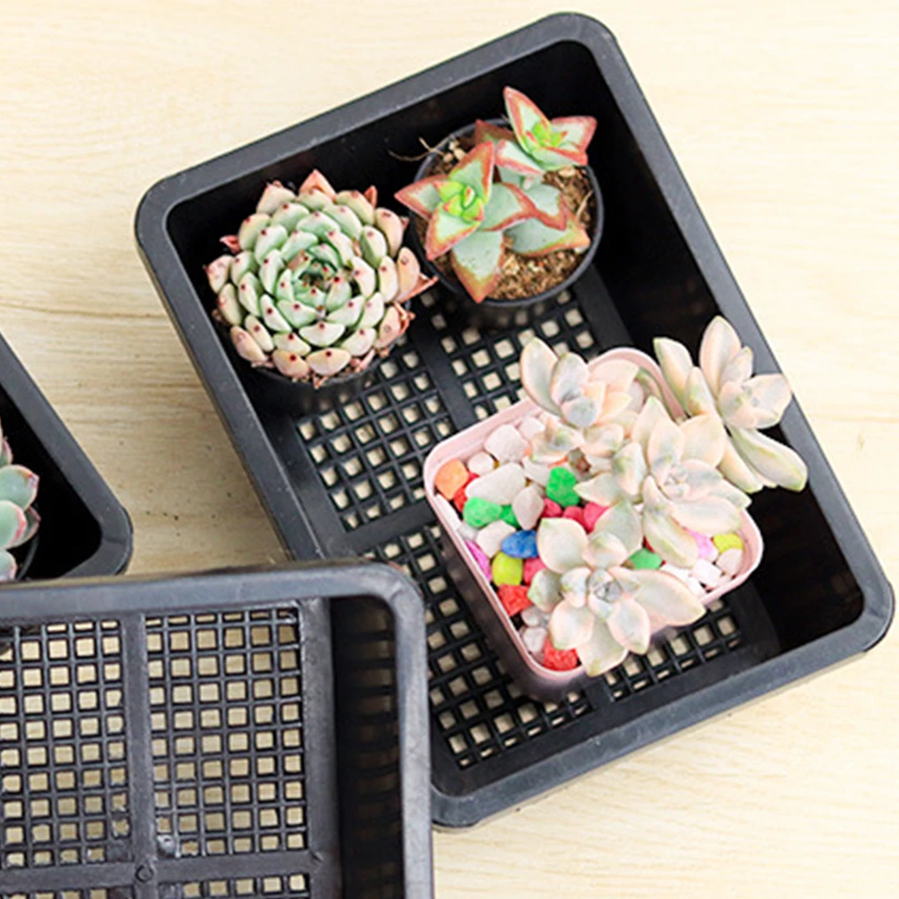 

10 pcs Plant Germination Tray Lightweight Pp Material For Greenhouse Sowing Nursery Growing Gardening Supplies Planter Container