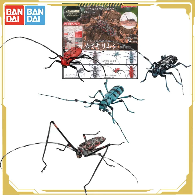 

Bandai Original Gashapon Biological Atlas Anoplophora Glabra Anoplophora Purpurea Action Figure Toys for Boys Girls Kids Gift