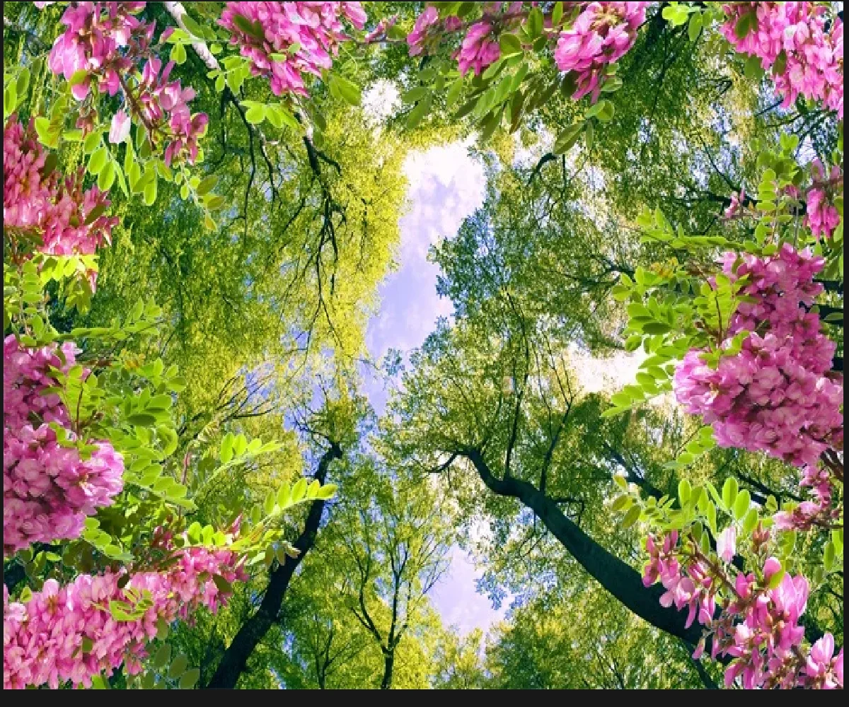 Custom Photo Wallpaper 3D Blue Sky Forest White Dove Wall Decorative Mural Painting Wallpapers For Living Room Bedroom Wall