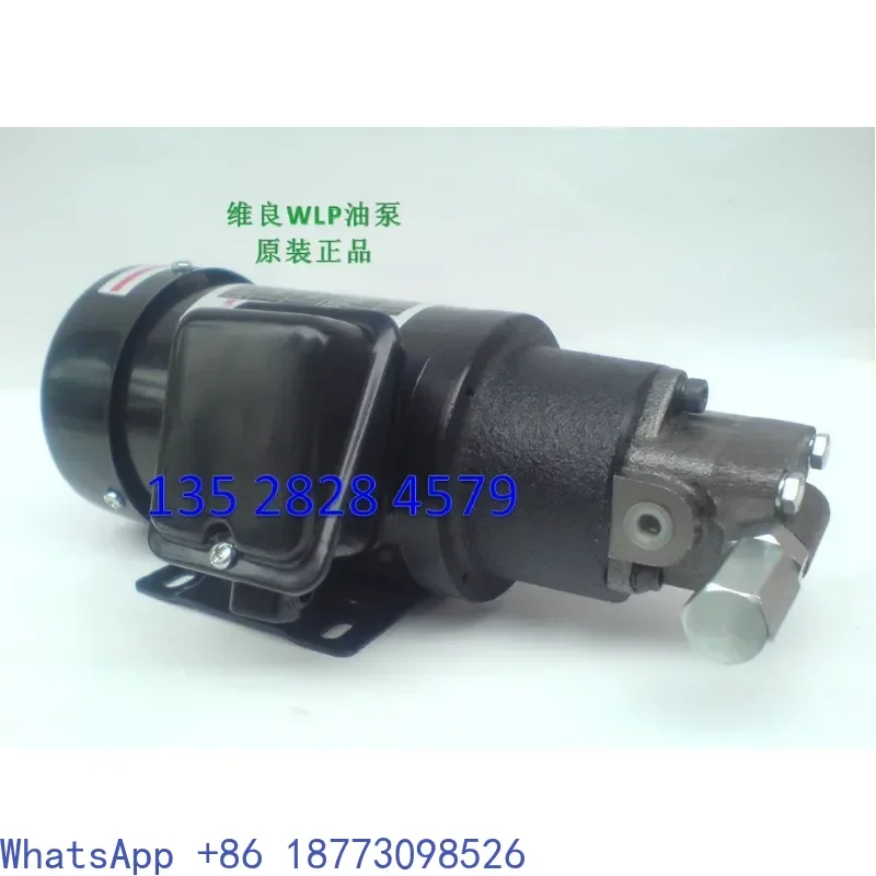 Weiliang WLP motor pump combination 100W ROPMA ROP12A ROP13A