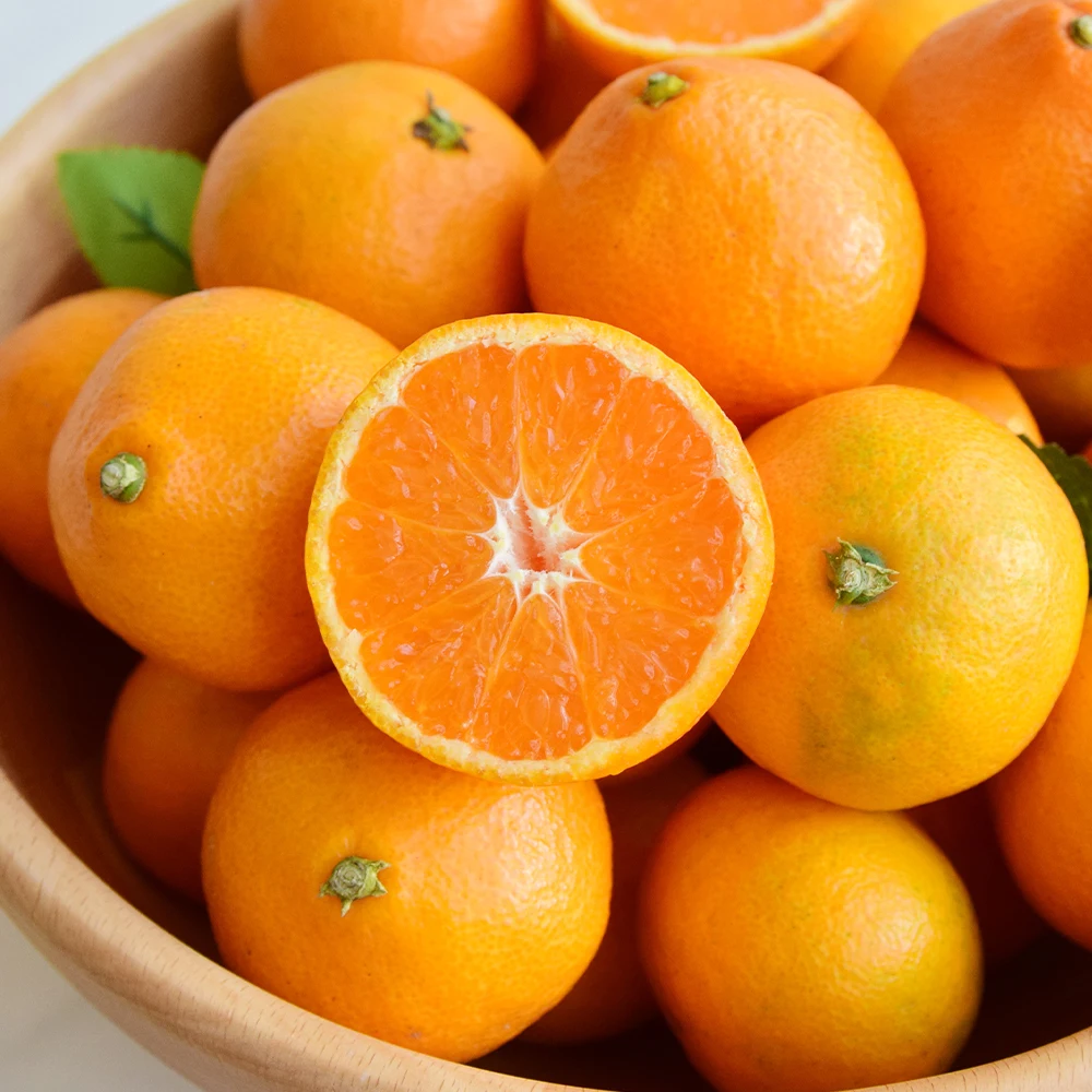 Jeju أقصى حلاوة Tyvek الحصاد المبكر اليوسفي 4.5 كجم 9 كجم