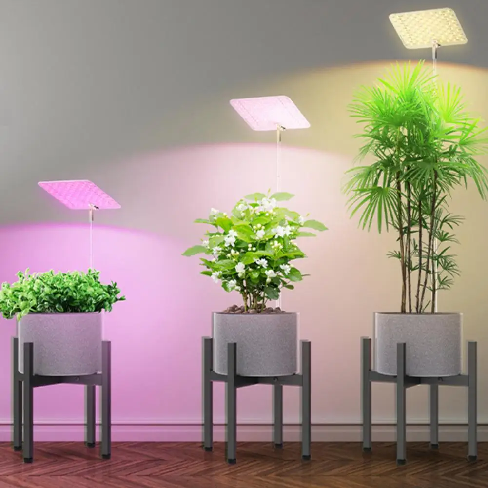 Flowering Fruiting Plant Light Height Adjustable Full Spectrum Led Grow Light with Auto On/off Timer for Indoor Plants for Plant