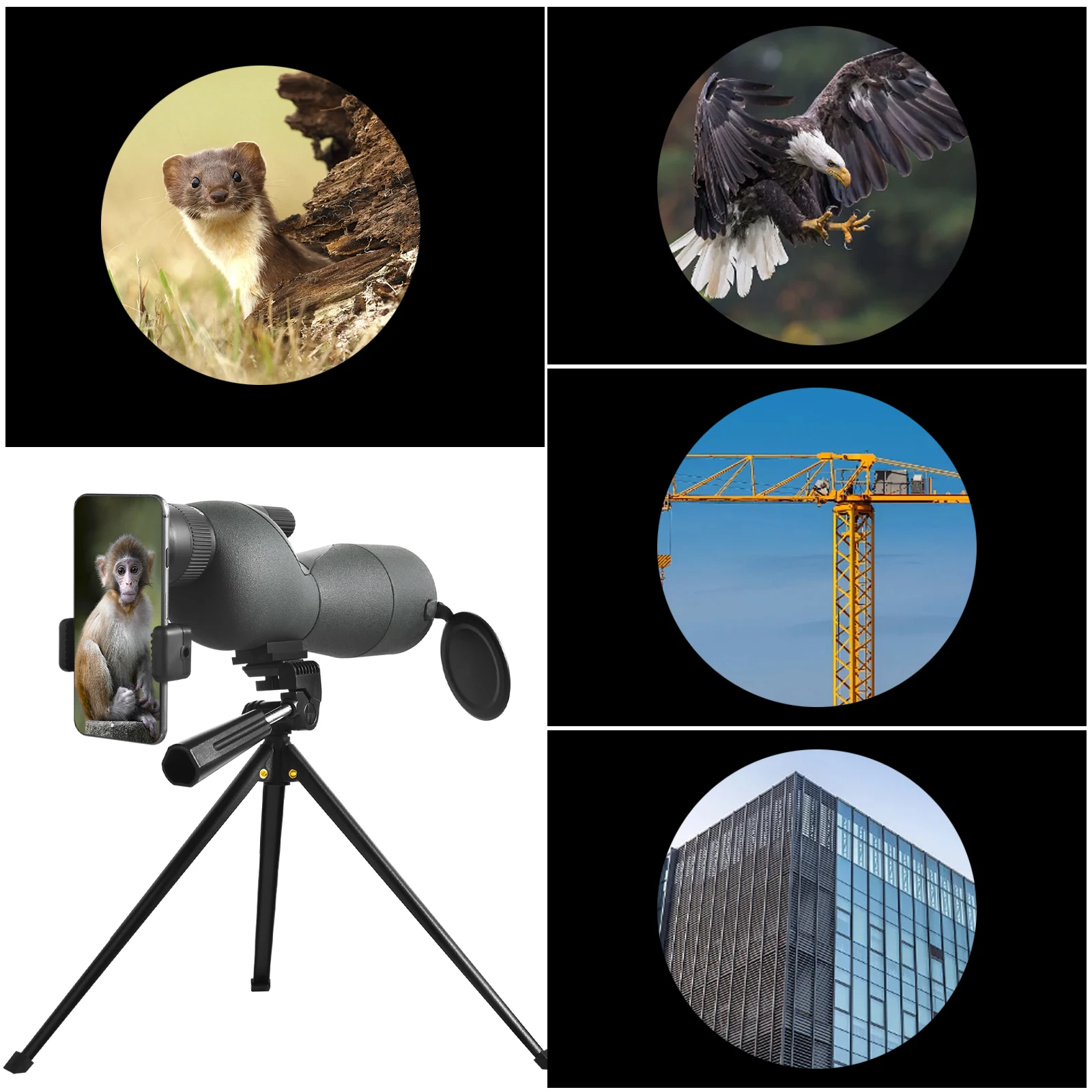 25-75x60 Binoculars with Tripod Waterproof Spotting Binocular Smartphone Adapter Straight Spotter Scope For Hunting Birdwatching