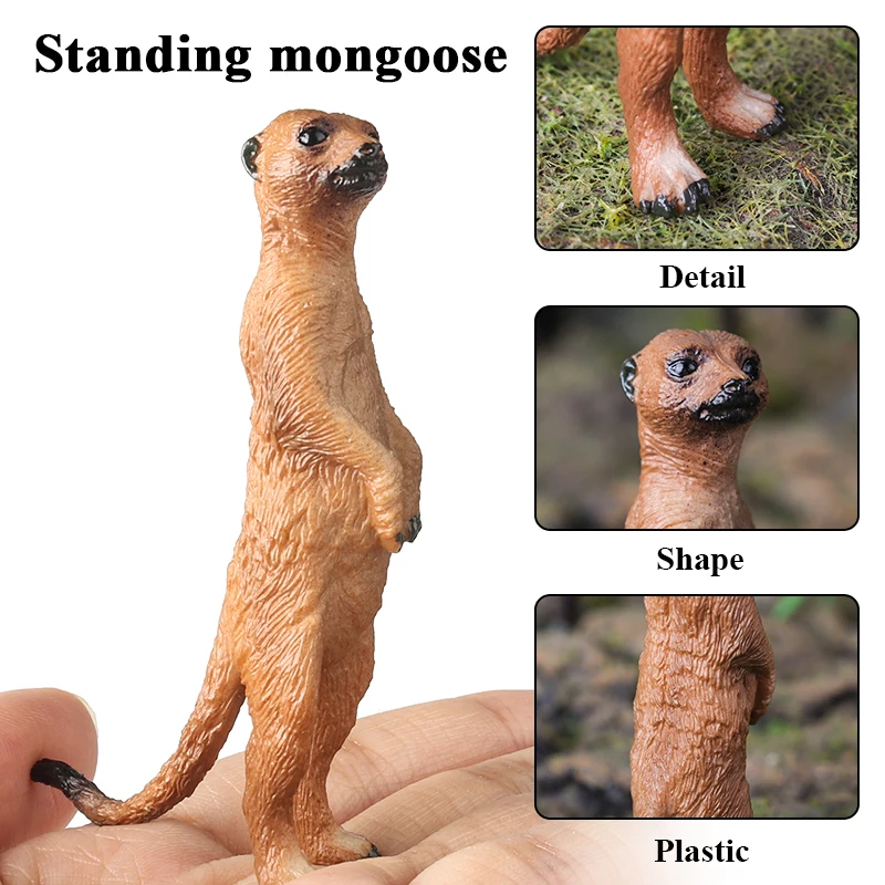 Oenux Simulation Neue Wilde Tierfiguren Stehende Wüsten-Meerkatze Otter Nutria Modell Actionfiguren Kinder-Lernspielzeug Geschenk – Detail 9