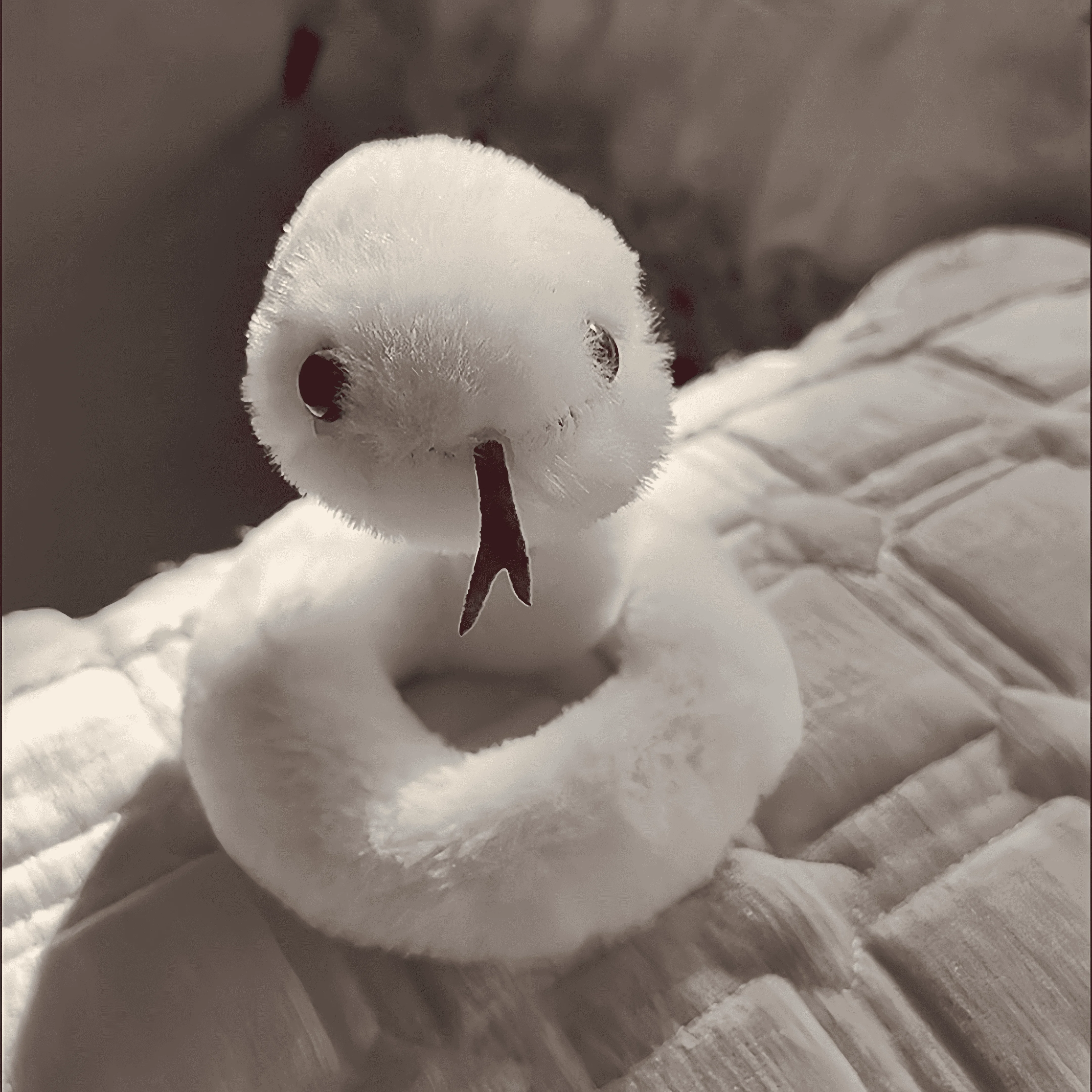 2025 سنة الأفعى ألعاب من نسيج مخملي دمية التميمة الإبداعية الجديدة لعبة ثعبان قطيفة مع أشكال مقعرة ومحدبة بحرية هدايا عيد الميلاد #6