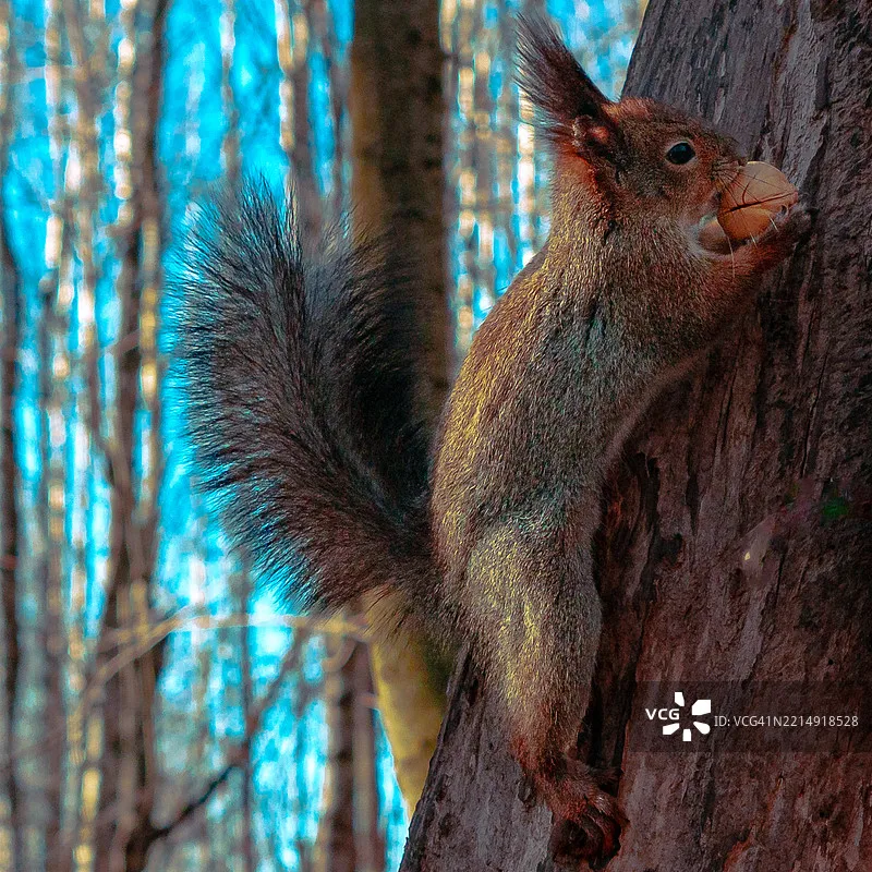 Emax ES9051 ES9251 …