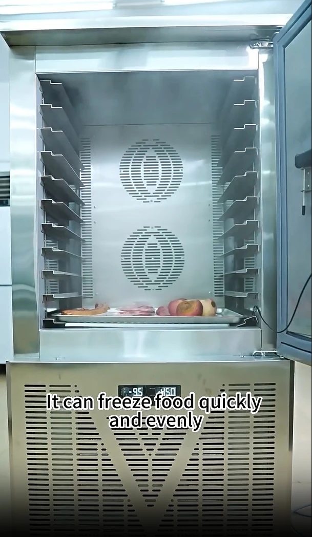 Commerciële Snelle Blast Vriezer Chiller Machine Verkoop Industriële Instant Vis Kip Lucht Bevriezing Quick Shock Flash Quick Shock
