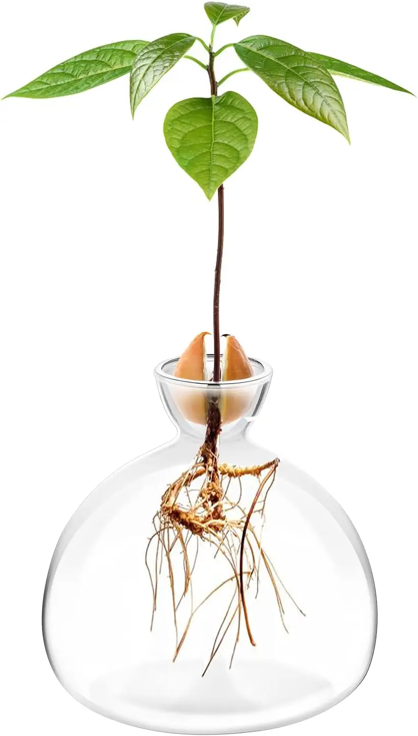 #63 Top Rated Vases to Buy in 2026