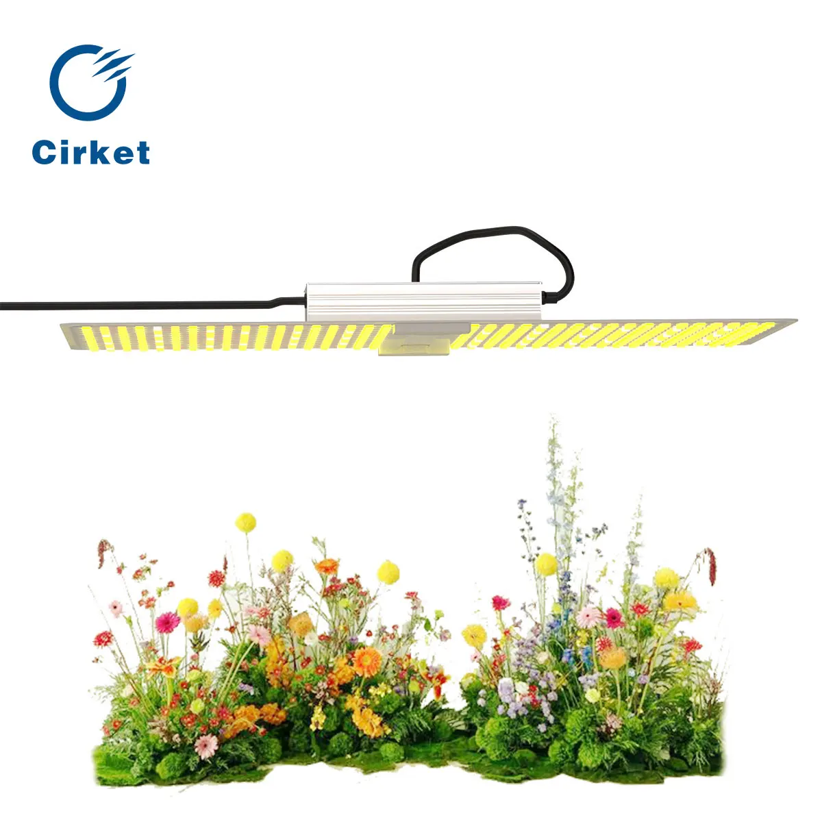 LED Plant Grow Light for tent High quality 220W 100-305V Full Spectrum Growing Lamp Plants Phyto Veg Flower Indoor Phytolamp