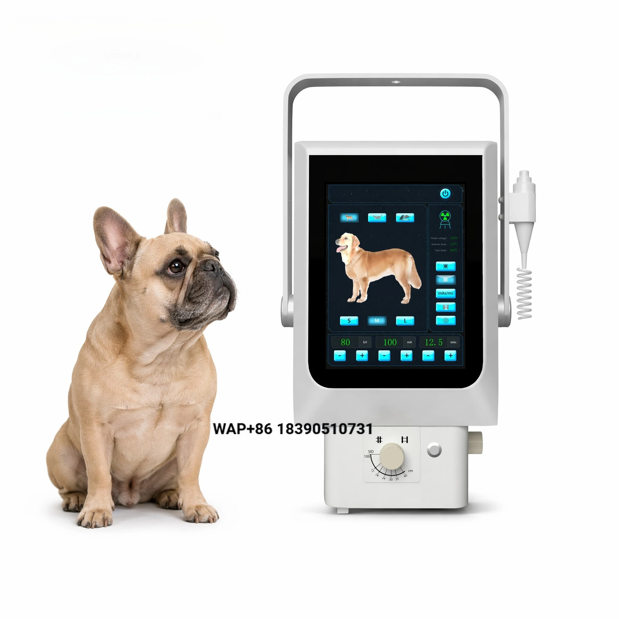 Mobile digital X-ray machine battery-powered portable high-frequency veterinary imaging system for clinics and hospitals