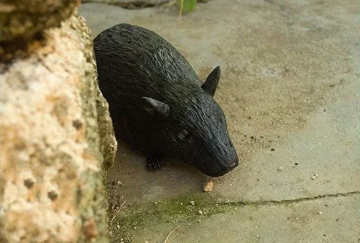 

New Unique Remote Control Mouse Infrared Creative Simulation Animal Infrared Electric Pet Toy Birthday Gift