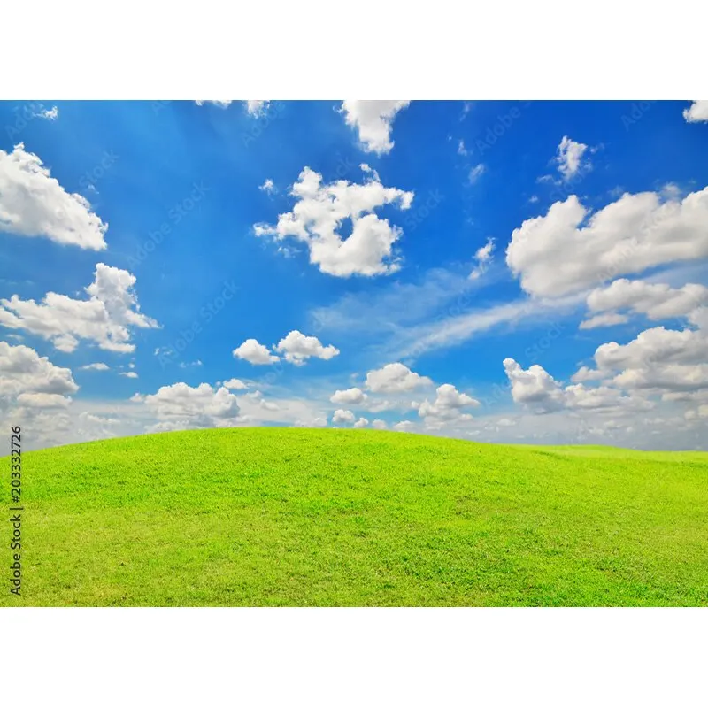 Puntelli di fotografia di paesaggio naturale erba verde e cielo blu con nuvole bianche sfondo fotografico puntelli da Studio 211223 KKLL-03