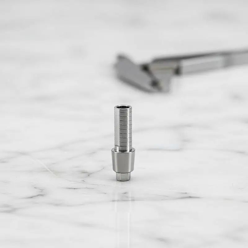 Adin Implant-kompatibles temporäres Zahnabutment aus medizinischem Titan, inklusive Schraube, für Dentallabor-Prothesen, OEM-unterstützt – Detail 2