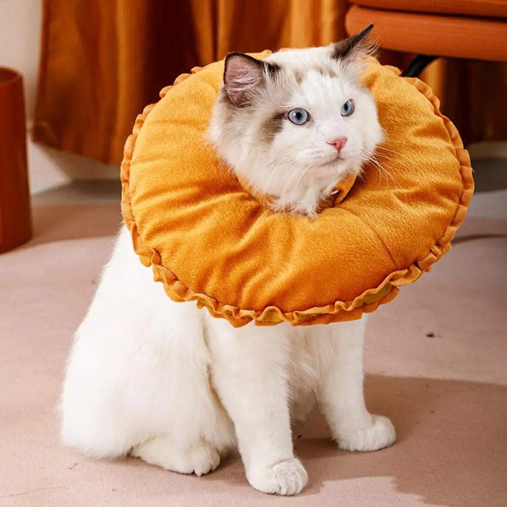 Cat Recovery Cone Friendly To Skin Non Irritating Kit Collar Soft Adjustable Pet Surgery Wound Collar